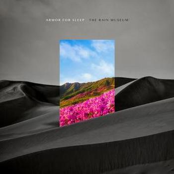 Vinyl The Rain Museum Book