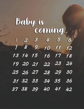 Baby Is Coming: Pregnancy Planner And Organizer, Diary , Notebook Mother And Child