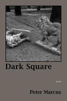 Paperback Dark Square Book