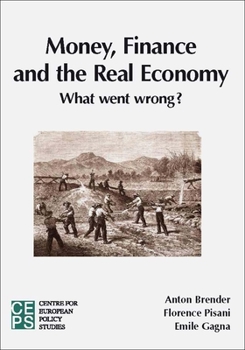 Paperback Money, Finance, and the Real Economy: What Has Gone Wrong? Book