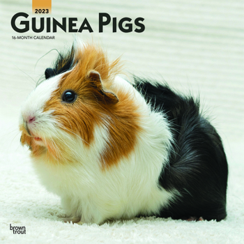 Calendar Guinea Pigs 2023 Square Book