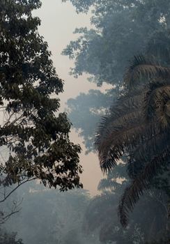 Hardcover Yana Wernicke & Jonas Feige: Zenker Book