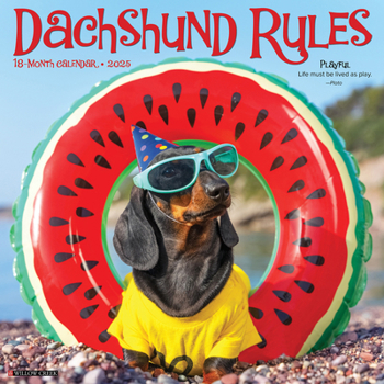 Calendar Dachshund Rules 2025 12 X 12 Wall Calendar Book