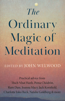 Paperback The Ordinary Magic of Meditation Book