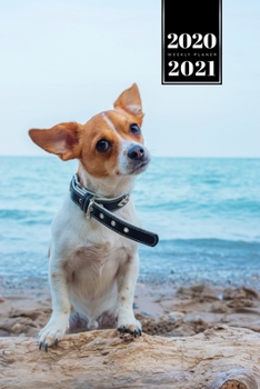 Chihuahua Dog Calendar Week Planner 2020 / 2021 - Exploring the Beach: Pup Puppy Doggie Pet Owner Weekly Bullet Journal Notebook Diary in 6” x 9” Inch Pocket Size