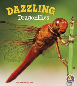 Hardcover Dazzling Dragonflies Book