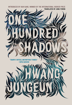 Hardcover One Hundred Shadows Book