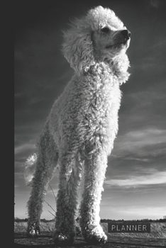 Planner: Cute Poodle Puppy 1 Year Daily Planner (12 Months) | 2020 - 2021 | 365 Pages for Planning | January 20 - December 20 | Appointment Calendar Schedule | Plan Each Day Set Goals & Get Stuff Done