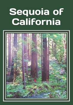 Paperback Sequoia of California: An extra-large print senior reader classic natural history and travel book - plus coloring pages [Large Print] Book