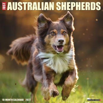 Calendar Just Australian Shepherds 2022 Wall Calendar (Dog Breed) Book