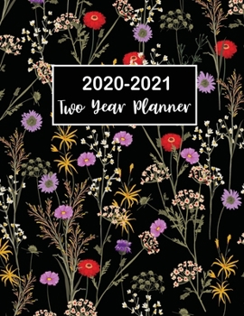 2020-2021 Two Year Planner: 2 Year Monthly Planner | 24 Months Calendar with Holidays Jan 2020 to Dec 2021 Academic Agenda Schedule Organizer Logbook ... 2021, Daily Monthly Calendar Planner 8.5x11)