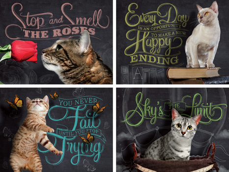 Misc. Supplies Catspirations 500-Piece Puzzle Book