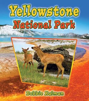 Library Binding Yellowstone National Park Book