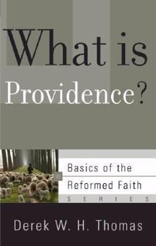 What Is Providence? - Book  of the Basics of the Faith