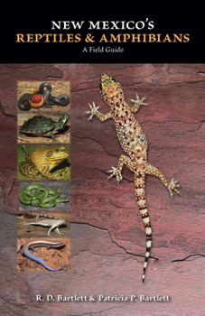 Paperback New Mexico's Reptiles and Amphibians: A Field Guide Book