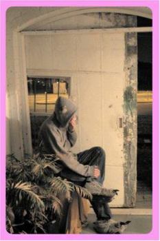 Paperback The Dissident's Diary Book