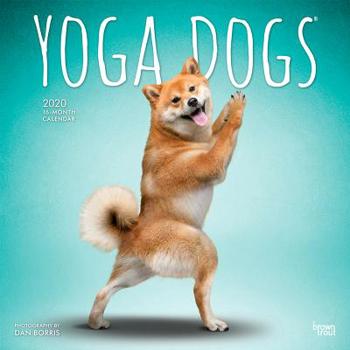 Calendar Yoga Dogs 2020 Square Book