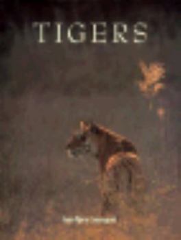 Hardcover Tigers Book