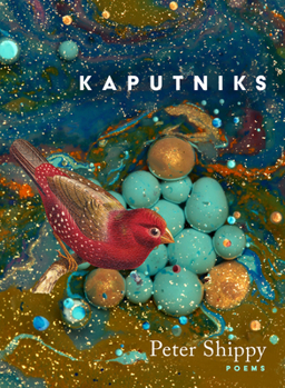 Paperback Kaputniks Book