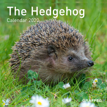 Calendar The Hedgehog Calendar 2020 Book
