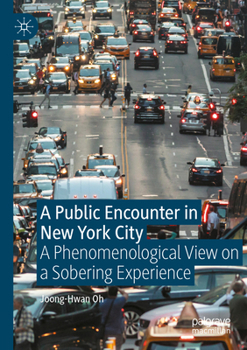Paperback A Public Encounter in New York City: A Phenomenological View on a Sobering Experience Book