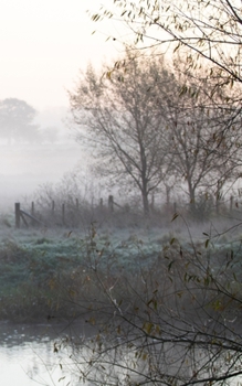 Paperback Notebook: misty morning riverbank spring calm scene Book