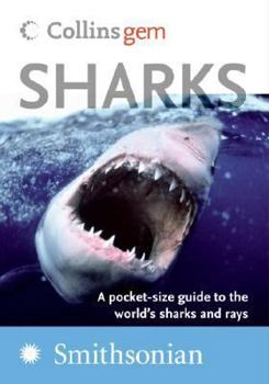 Paperback Sharks Book