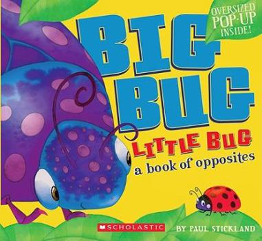 Hardcover Big Bug, Little Bug: A Book of Opposites Book