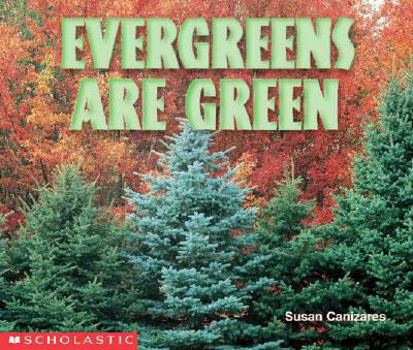 Paperback Evergreens Are Green Book
