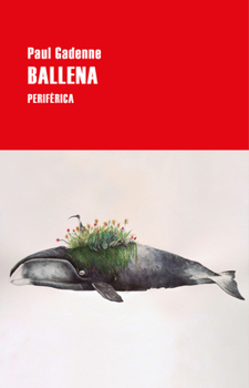 Paperback Ballena [Spanish] Book