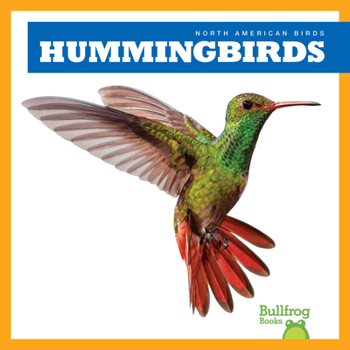 Paperback Hummingbirds Book