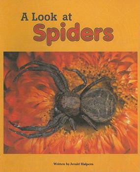 Paperback A Look at Spiders Book