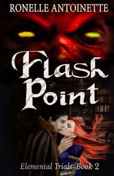 Paperback Flash Point Book