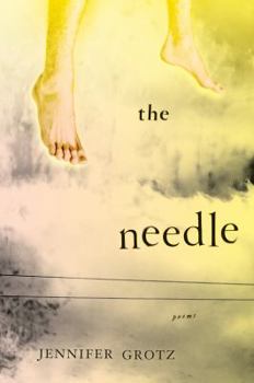Hardcover The Needle Book