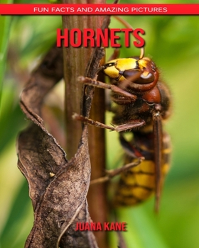 Paperback Hornets: Fun Facts and Amazing Pictures Book