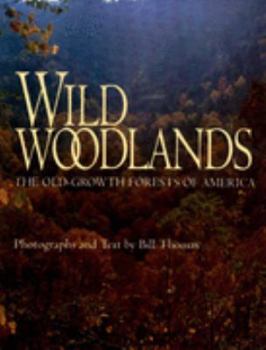 Hardcover Wild Woodlands Book