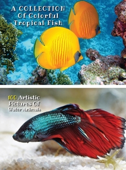 A Collection of Colorful Tropical Fish - 100 Artistic Pictures of Water Animals - Full Color HD: Professional Photo Album - The Best Animal Pictures ... Paperback Version - English Language Edition