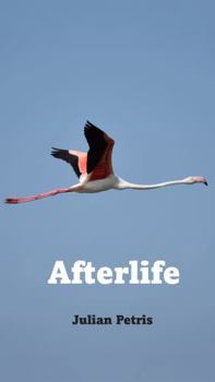 Paperback Afterlife Book