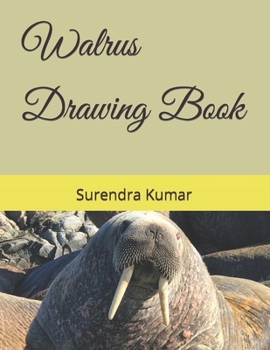 Paperback Walrus Drawing Book