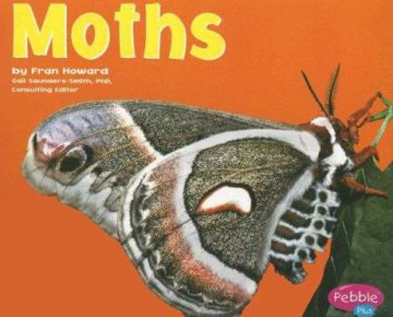 Moths (Bugs Bugs Bugs) - Book  of the Bugs, Bugs, Bugs!