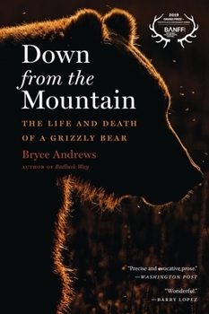 Paperback Down from the Mountain: The Life and Death of a Grizzly Bear Book