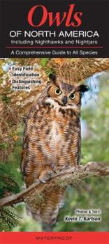 Pamphlet Owls of North America Including Nighthawks and Nightjars: A Comprehensive Guide to All Species Book