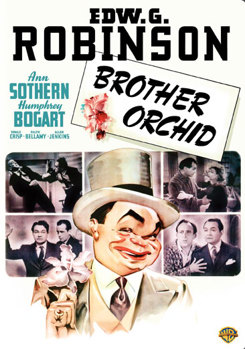 DVD Brother Orchid Book