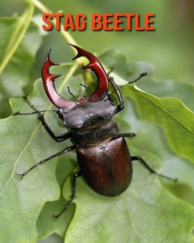 Paperback Stag Beetle: Amazing Facts about Stag Beetle Book