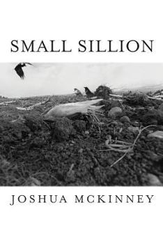 Paperback Small Sillion Book