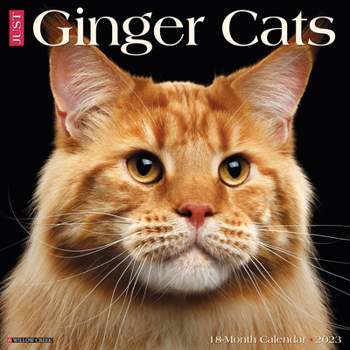 Calendar Just Ginger Cats 2023 Wall Calendar Book