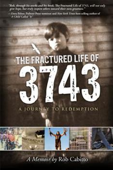 Paperback The Fractured Life of 3743: A Journey to Redemption Book