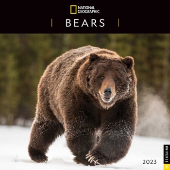 Calendar National Geographic: Bears of the World 2023 Wall Calendar Book