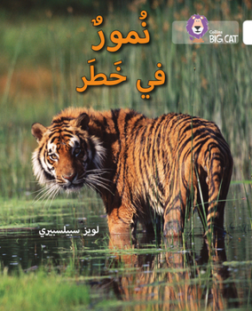 Paperback Collins Big Cat Arabic - Tigers in Danger: Level 10 [Arabic] Book