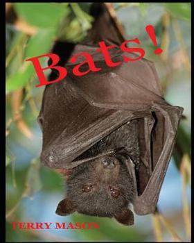 Paperback Bats: Learn About These Strange and Wonderful Creatures of the Night Book